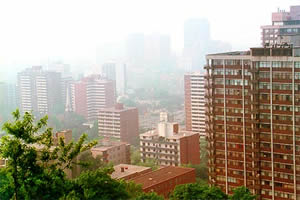 Smog é a neblina misturada à poluição dos centros urbanos